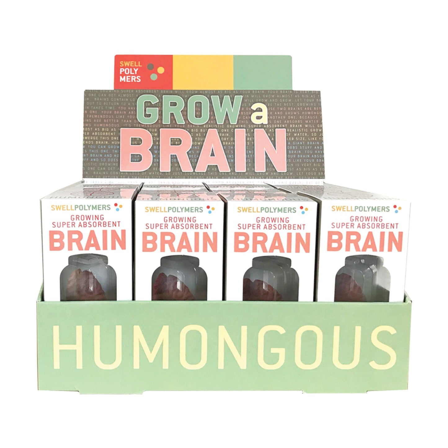 Extra Large Swell Polymer Brain | Grow your brain - Copernicus Toys