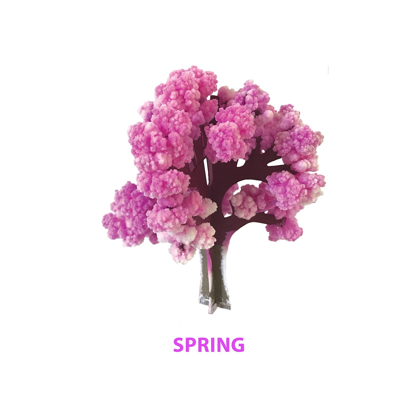 Crystal Growing Seasons | Experience all the seasons today! - Copernicus Toys
