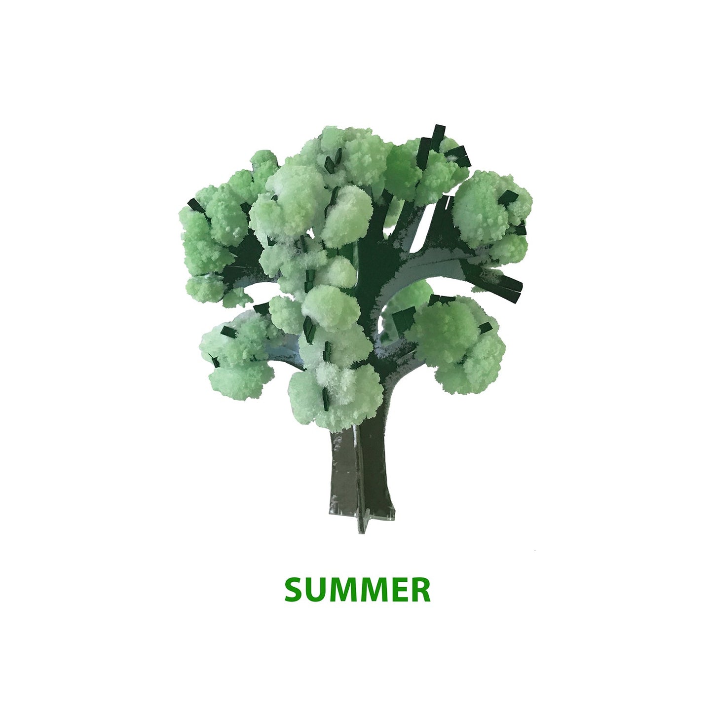 Crystal Growing Seasons | Experience all the seasons today! - Copernicus Toys