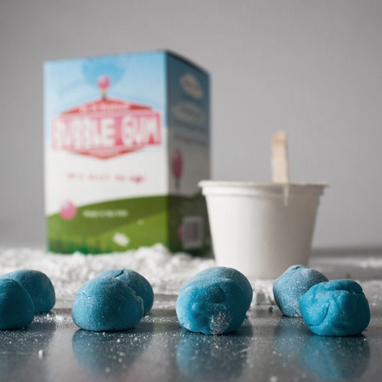 Do It Yourself Bubble Gum Kit - Copernicus Toys