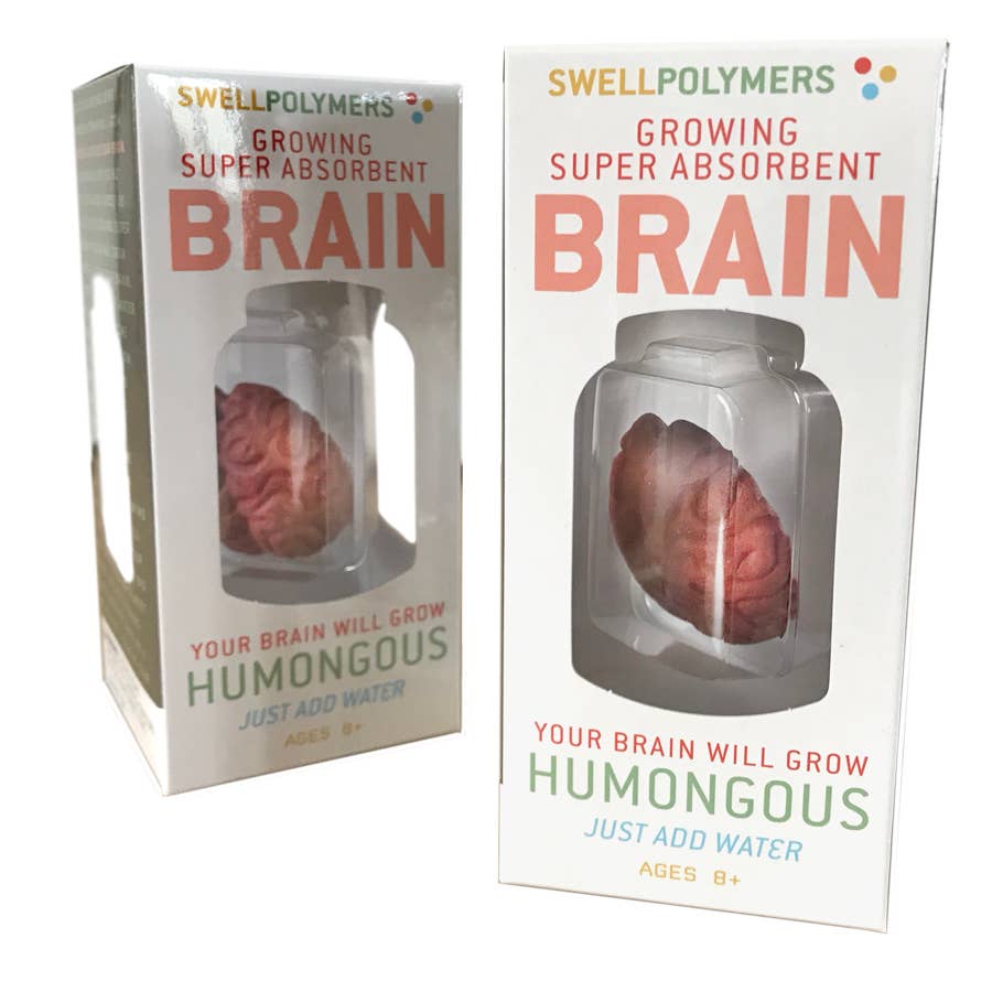 Extra Large Swell Polymer Brain | Grow your brain - Copernicus Toys
