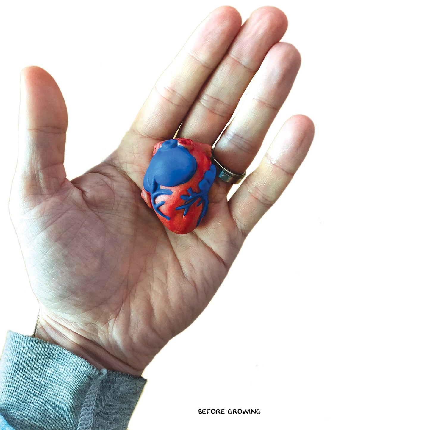 Extra Large Swell Polymer Heart | Show everyone your big heart - Copernicus Toys