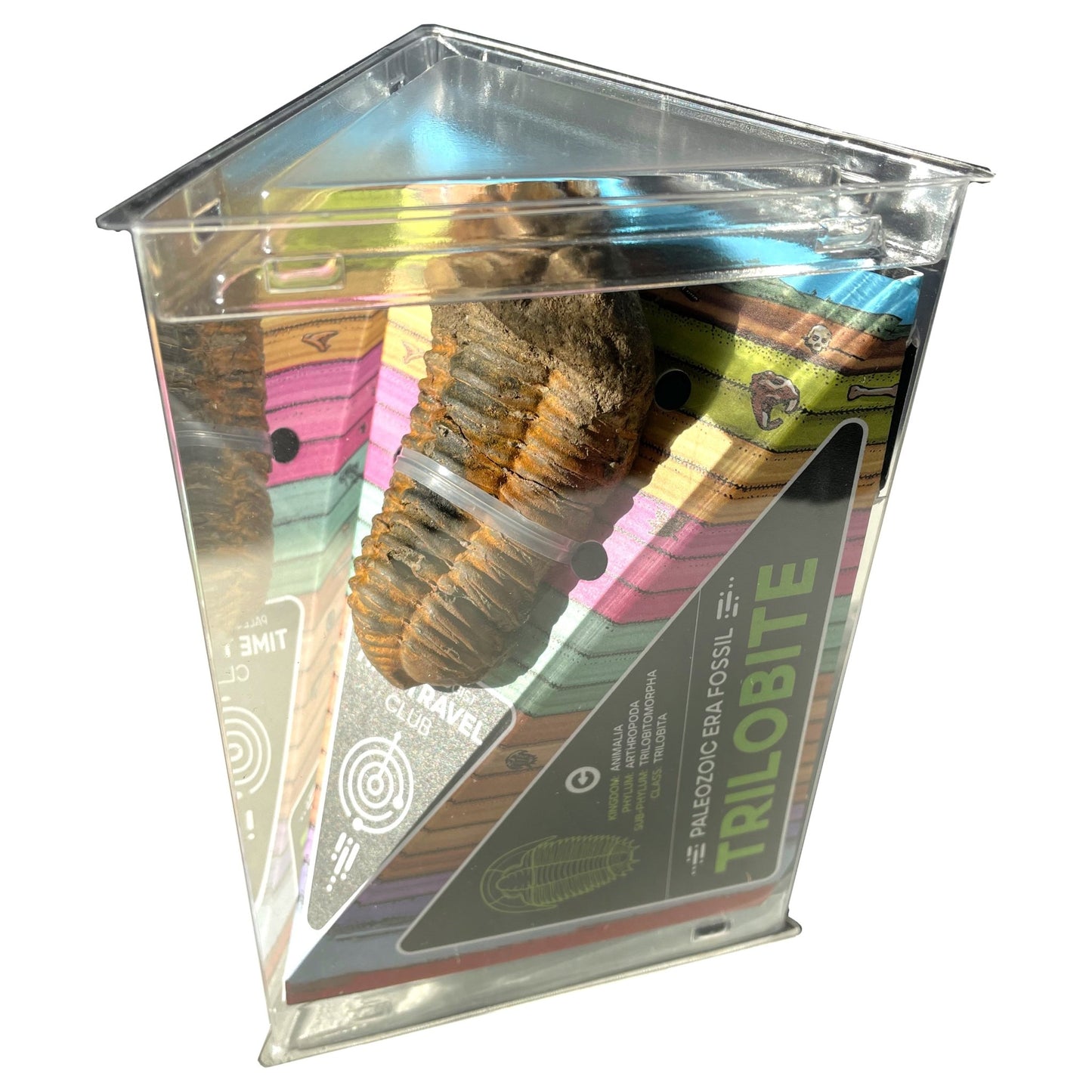 Tremendous Fossil Trilobite: Time Travel Club - Copernicus Toys