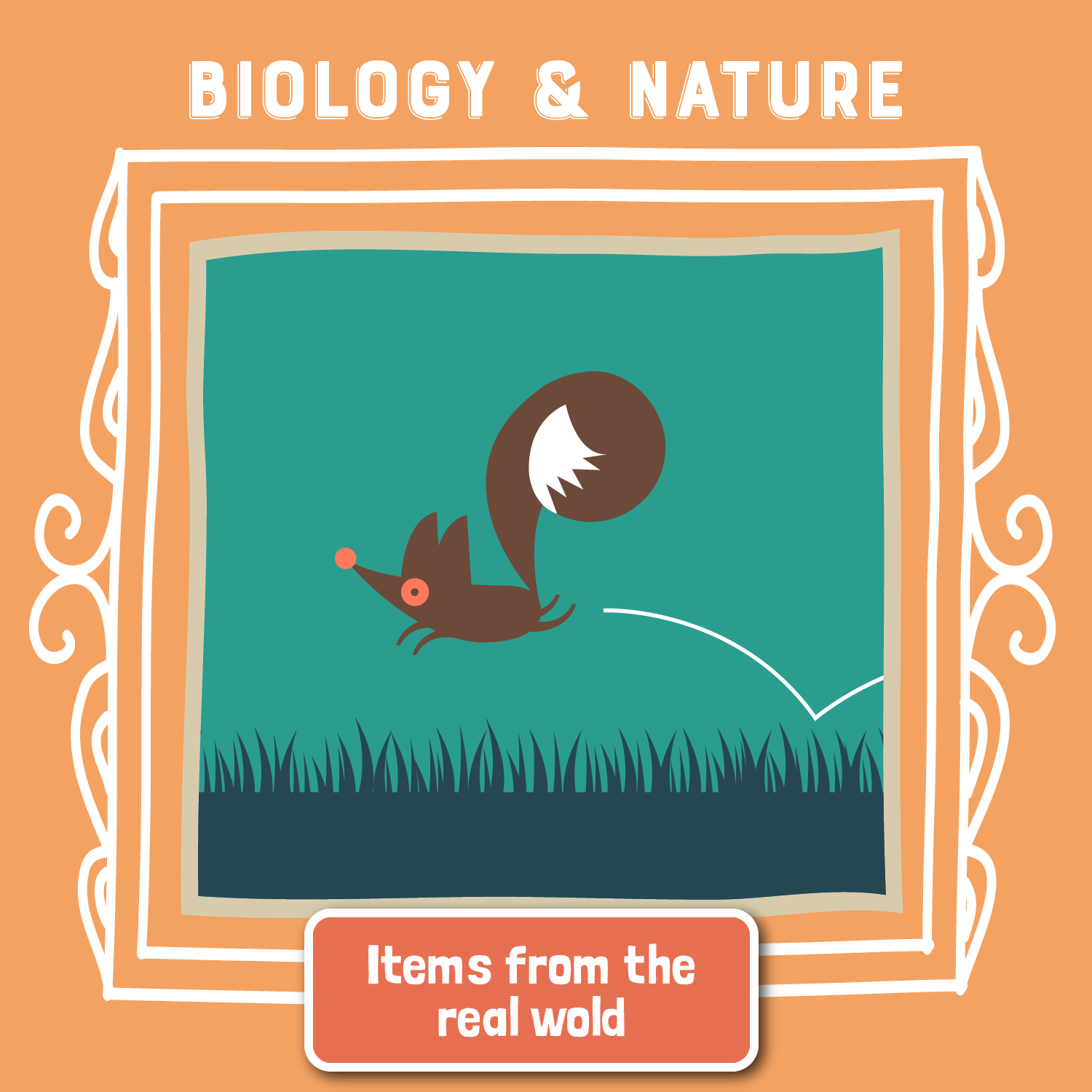 BIOLOGY & NATURE - Copernicus Toys