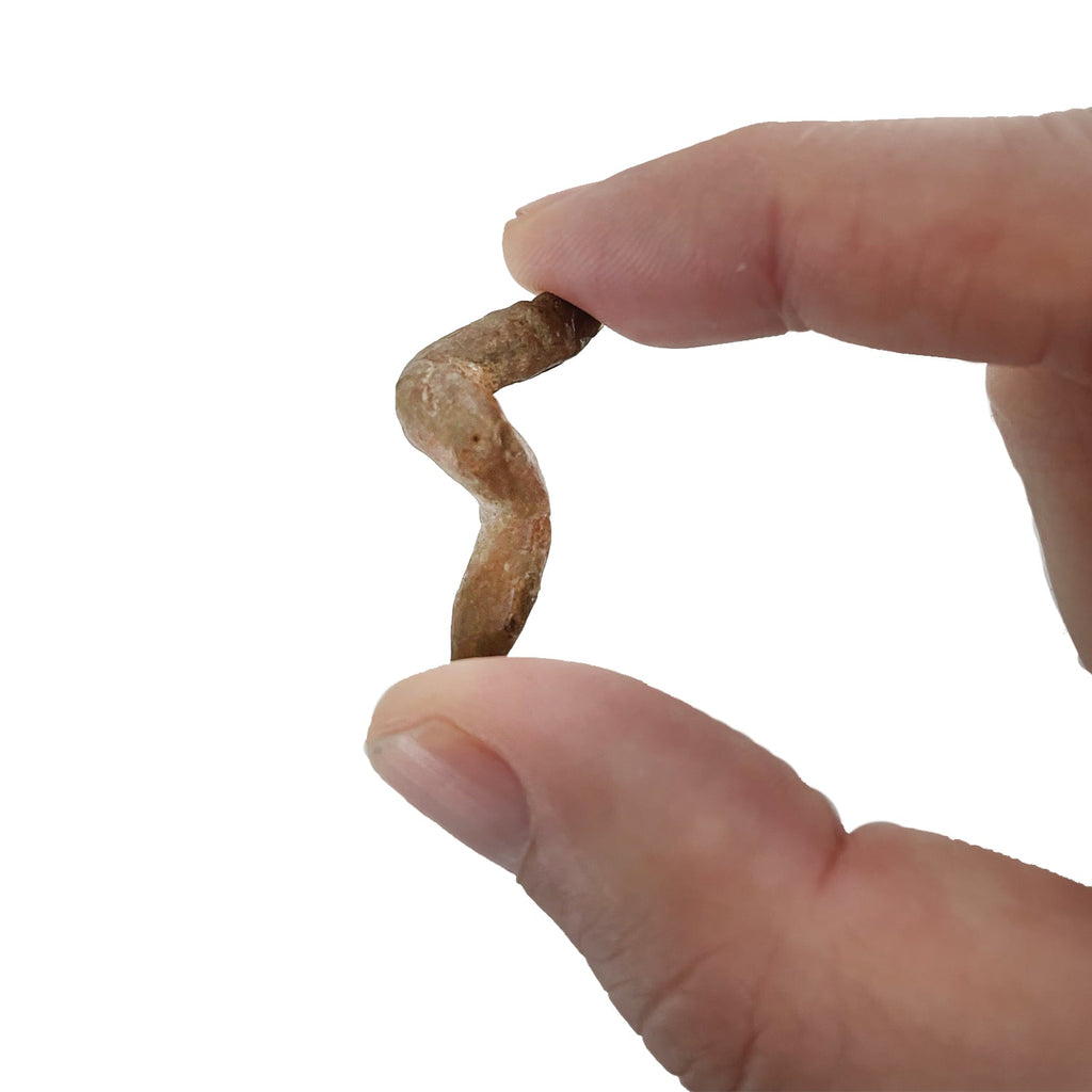 Coprolite - Copernicus Toys