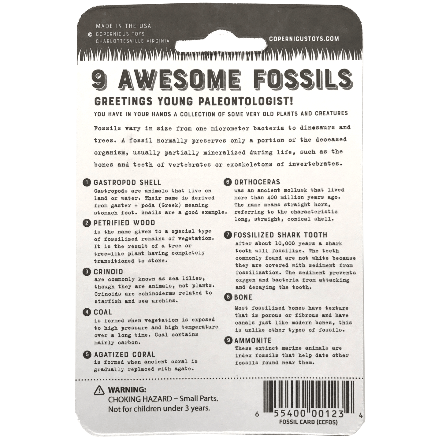Fossil Collection Card - Copernicus Toys