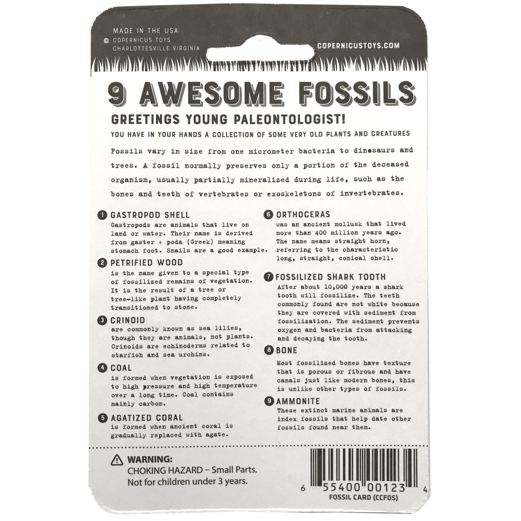 Fossil Collection Card - Copernicus Toys