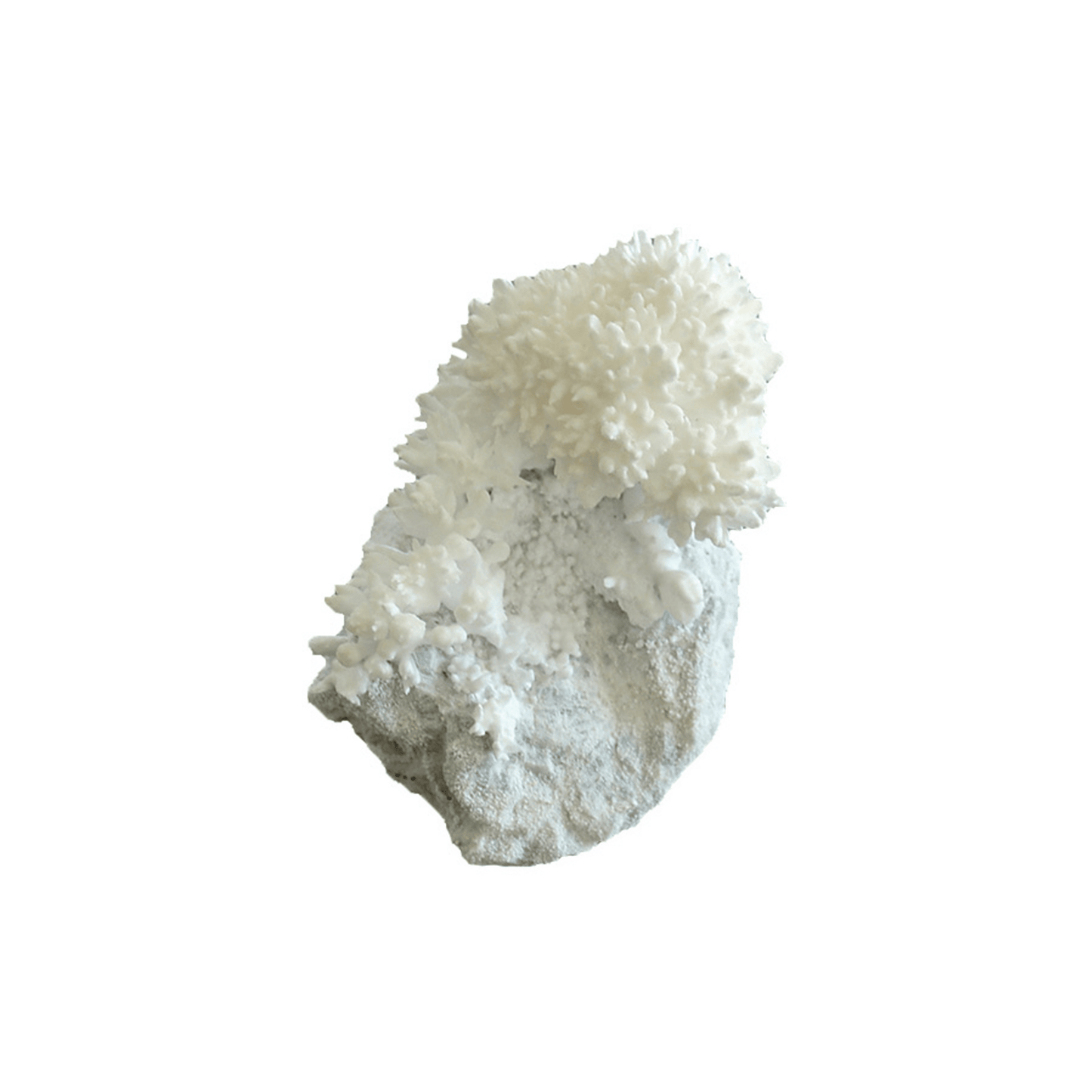 Growing Crystals - Copernicus Toys