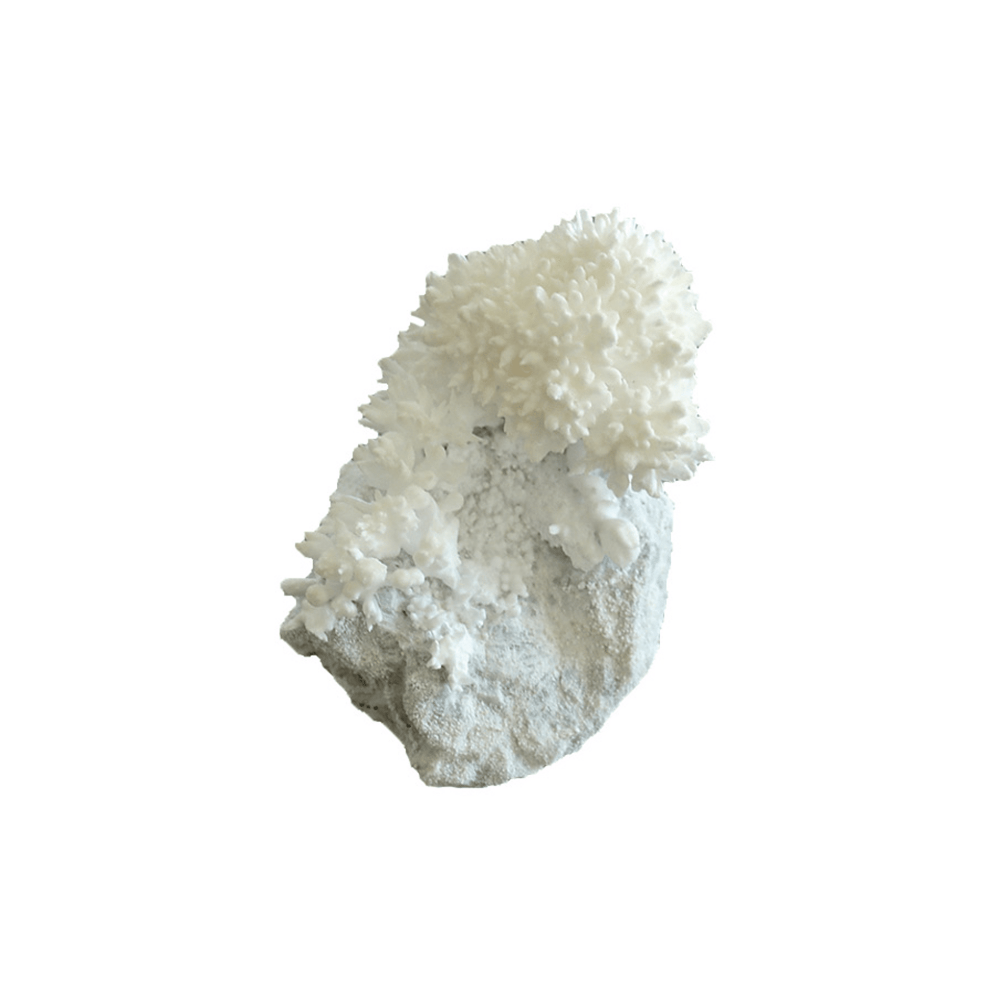Growing Crystals - Copernicus Toys