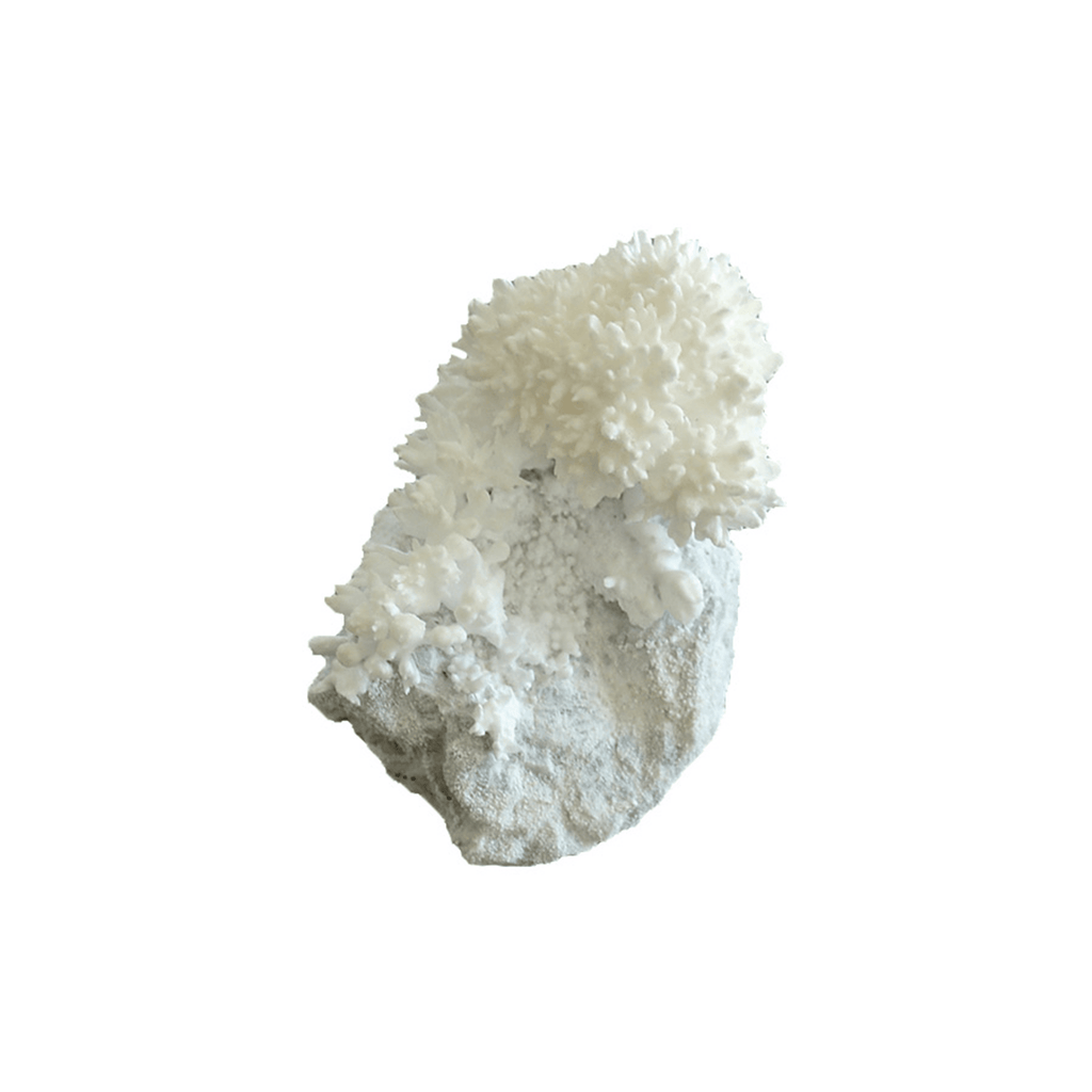 Growing Crystals - Copernicus Toys