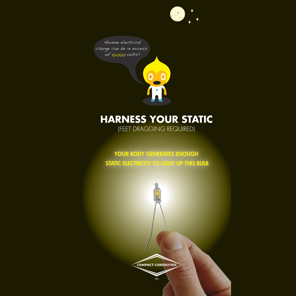 Human Powered Light bulb - Copernicus Toys