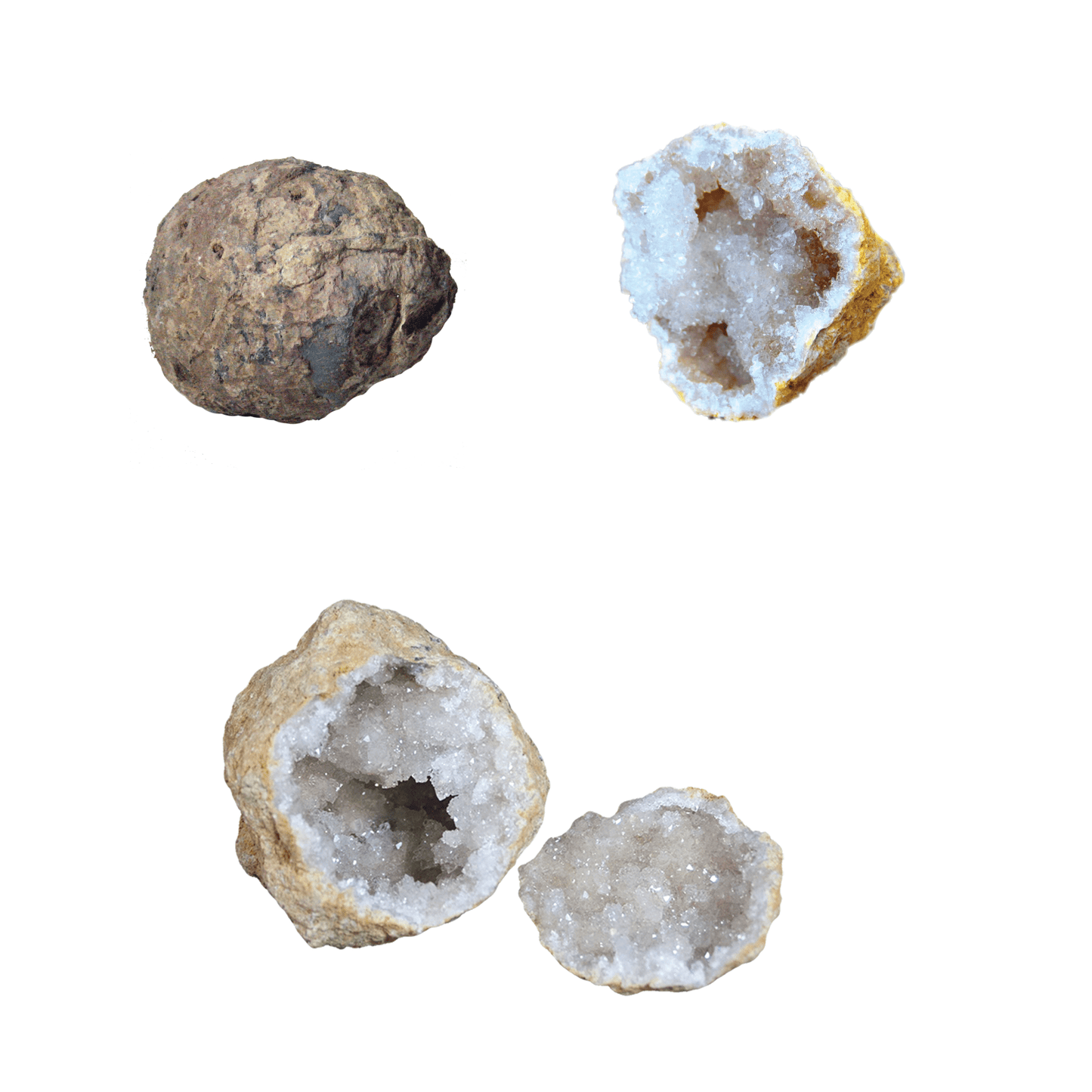 Whole Geode - break it open! - Copernicus Toys