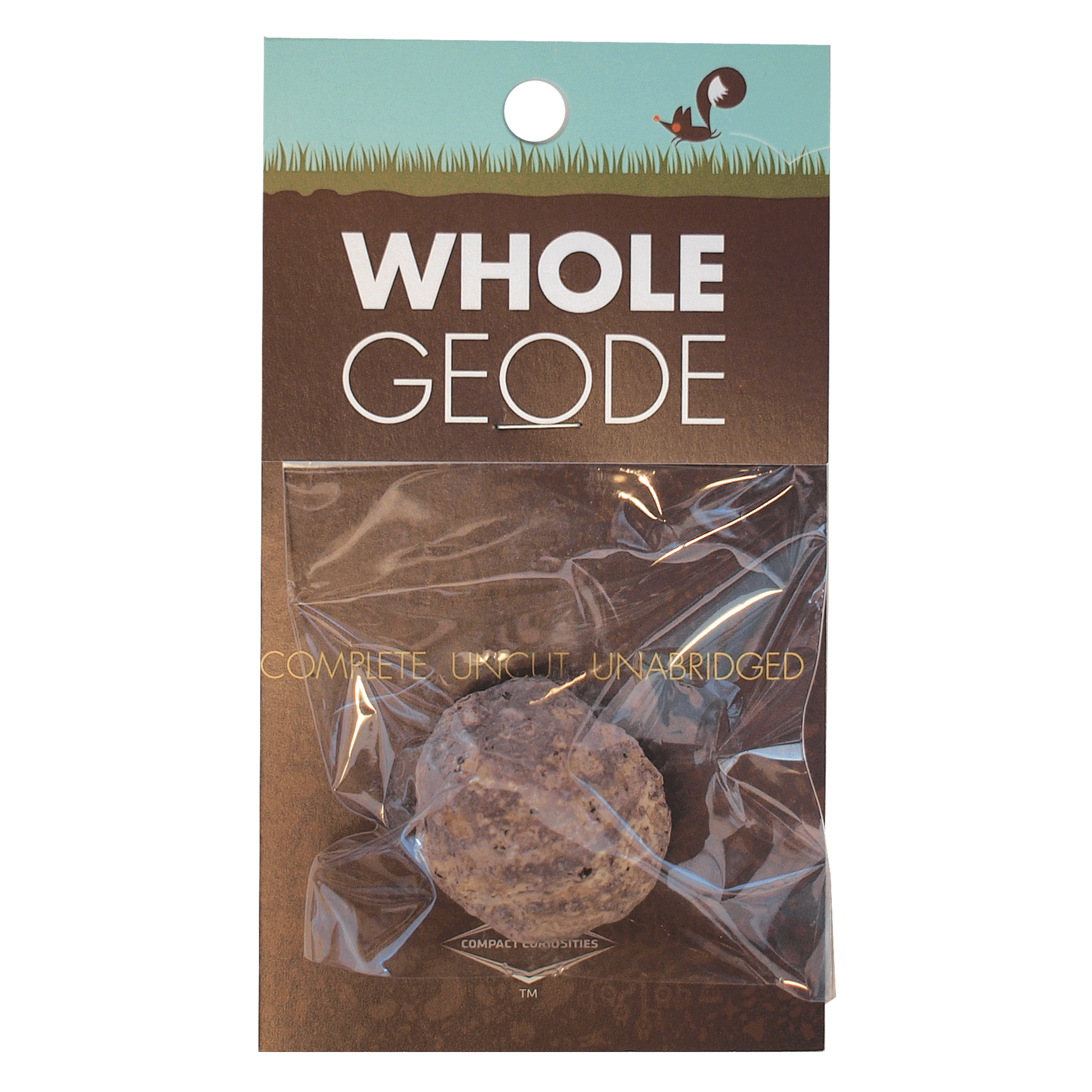 Whole Geode - break it open! - Copernicus Toys