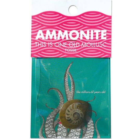 Ammonite - Copernicus Toys