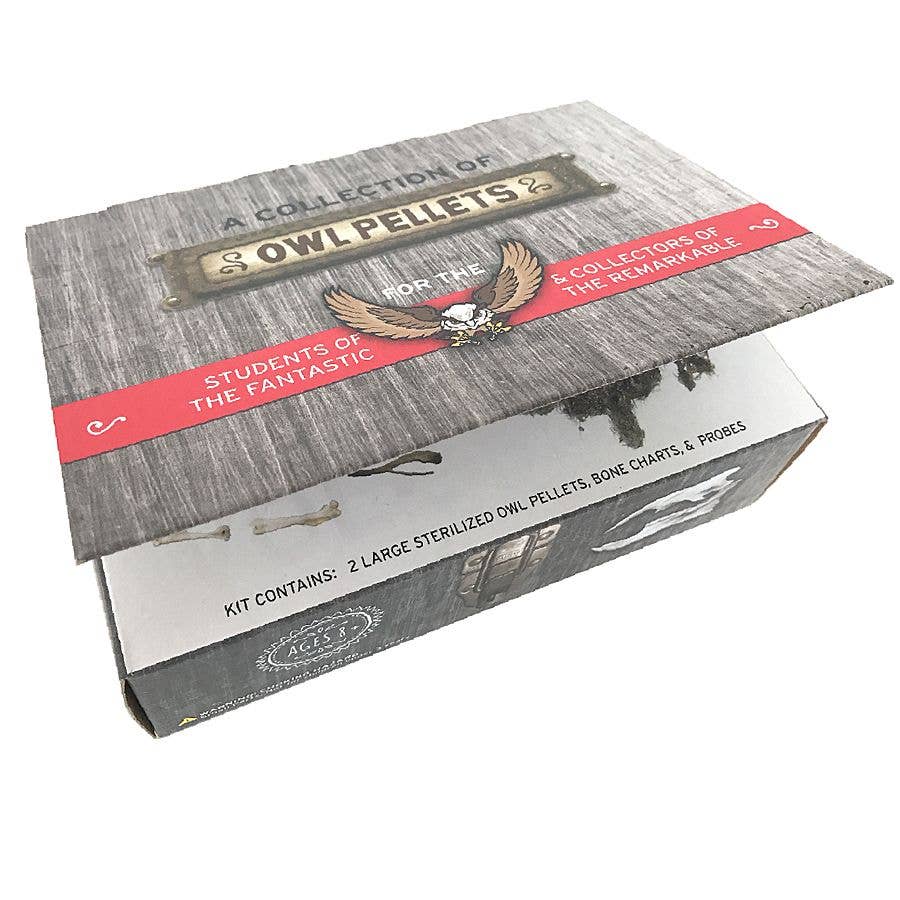 Cabinet of Owl Pellets - Copernicus Toys