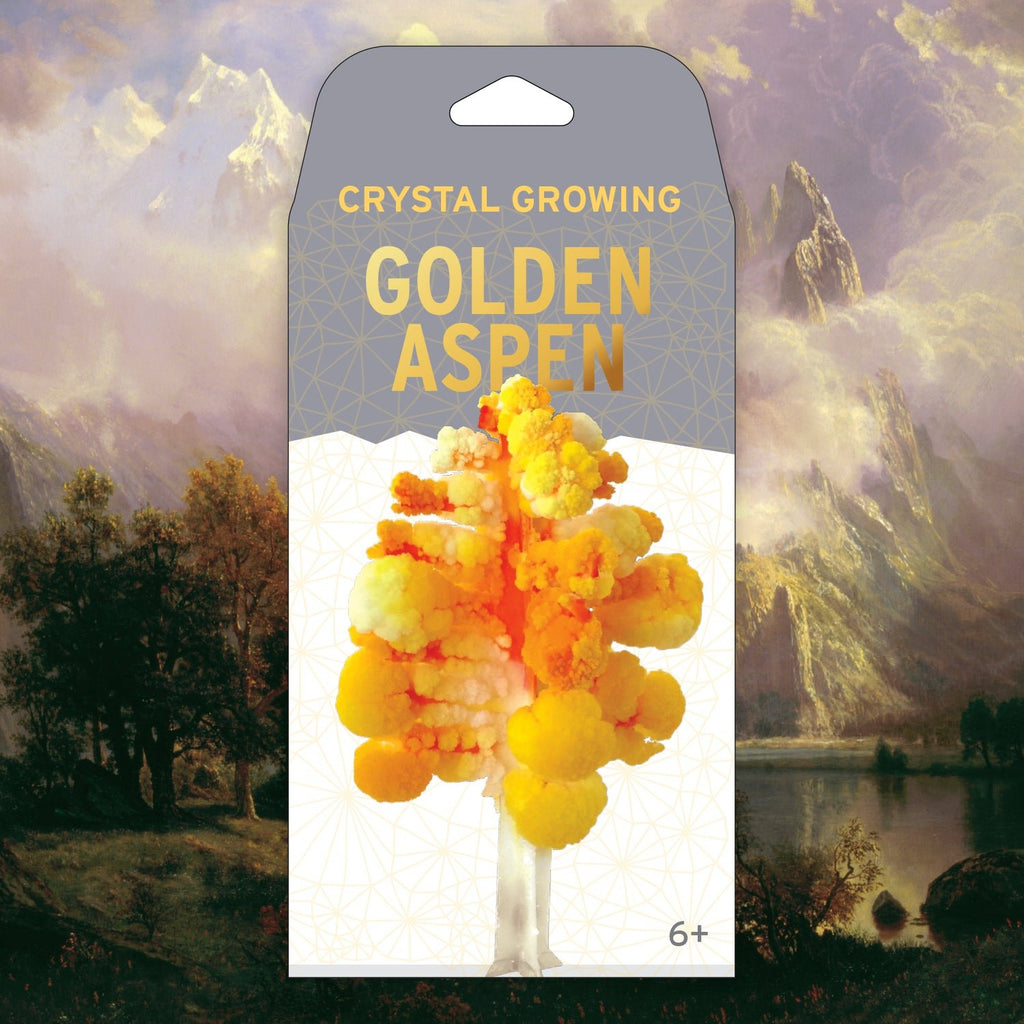 Crystal Growing Aspen - Copernicus Toys