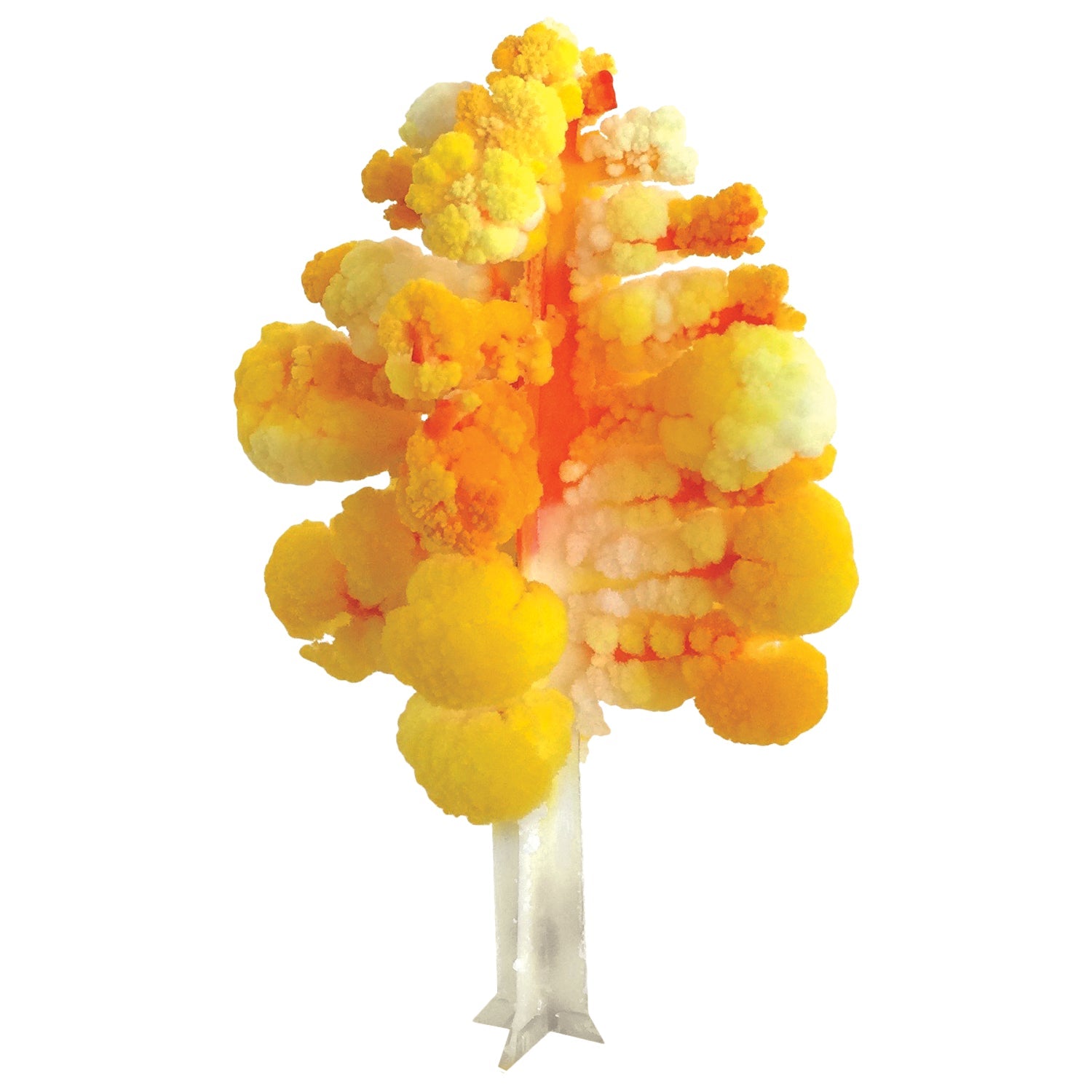Crystal Growing Aspen - Copernicus Toys