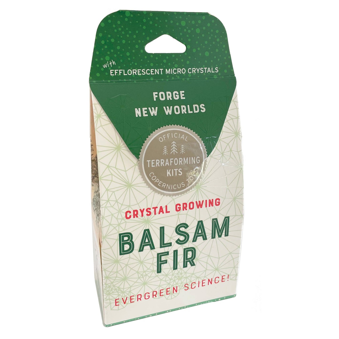 Crystal Growing Balsam Fir - Copernicus Toys