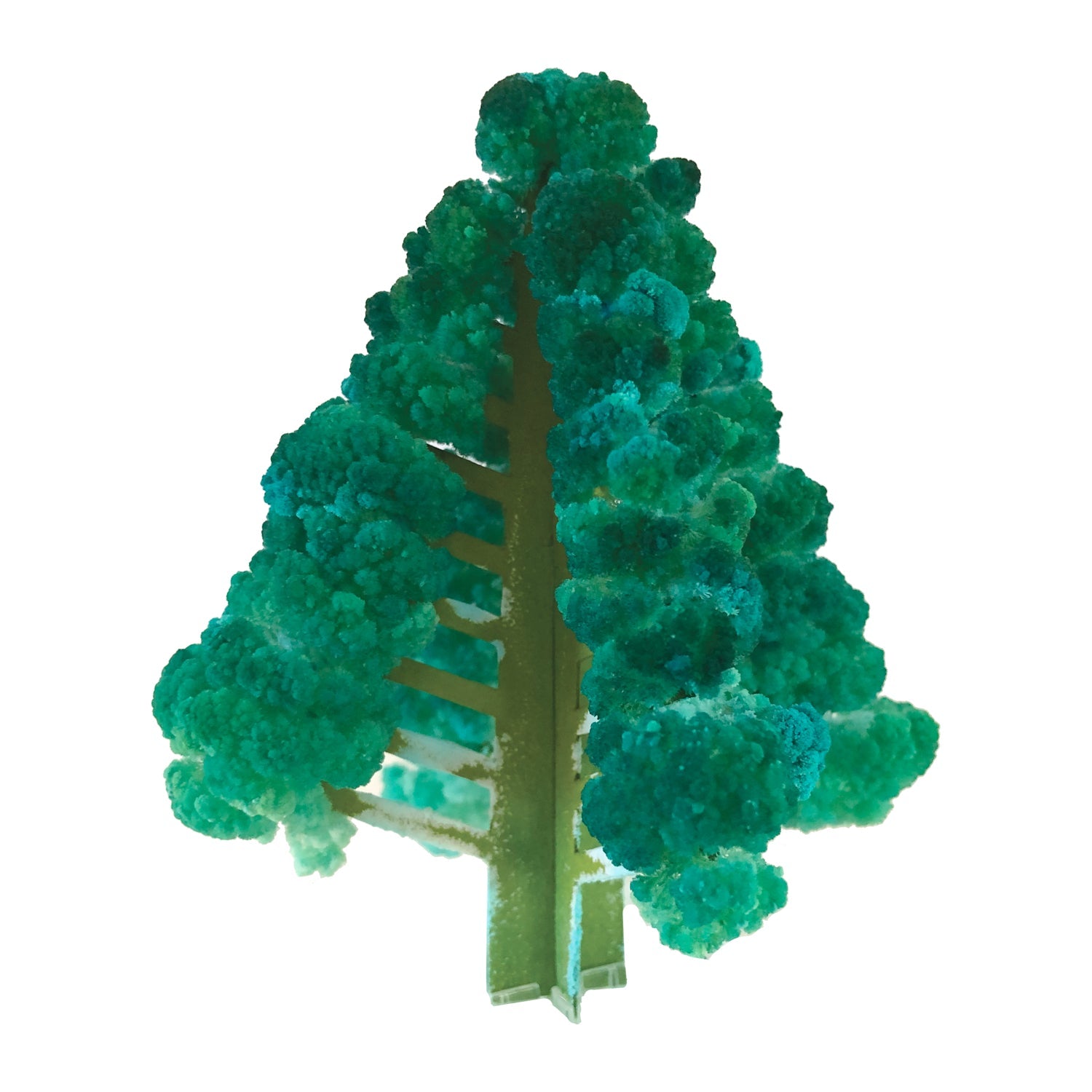 Crystal Growing Balsam Fir - Copernicus Toys