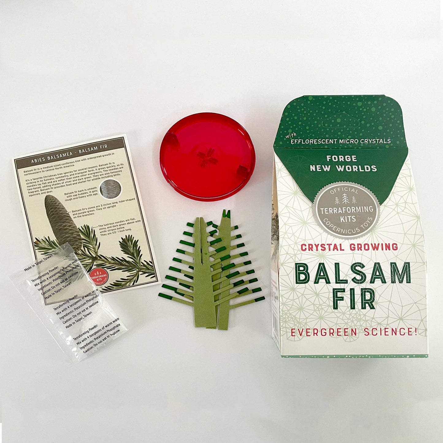 Crystal Growing Balsam Fir - Copernicus Toys