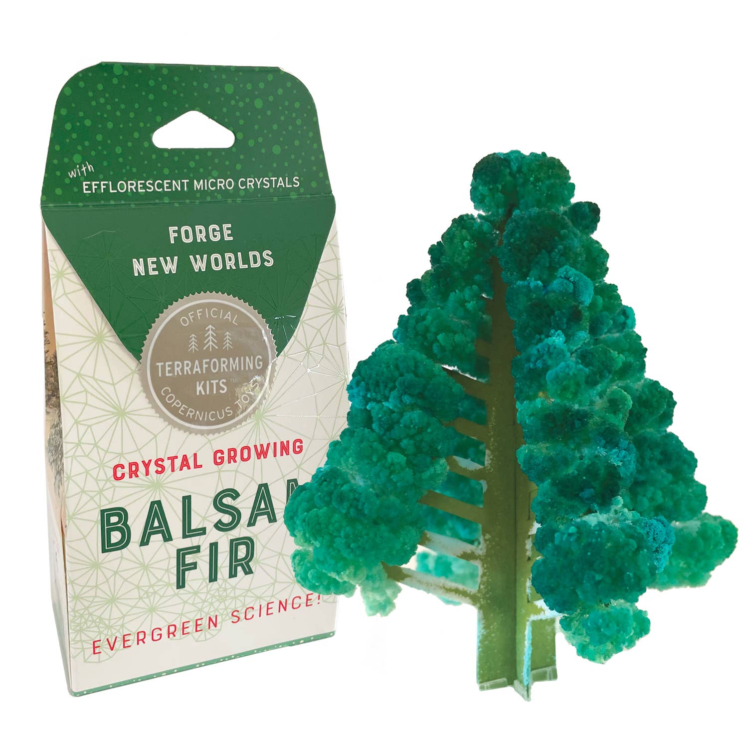 Crystal Growing Balsam Fir - Copernicus Toys