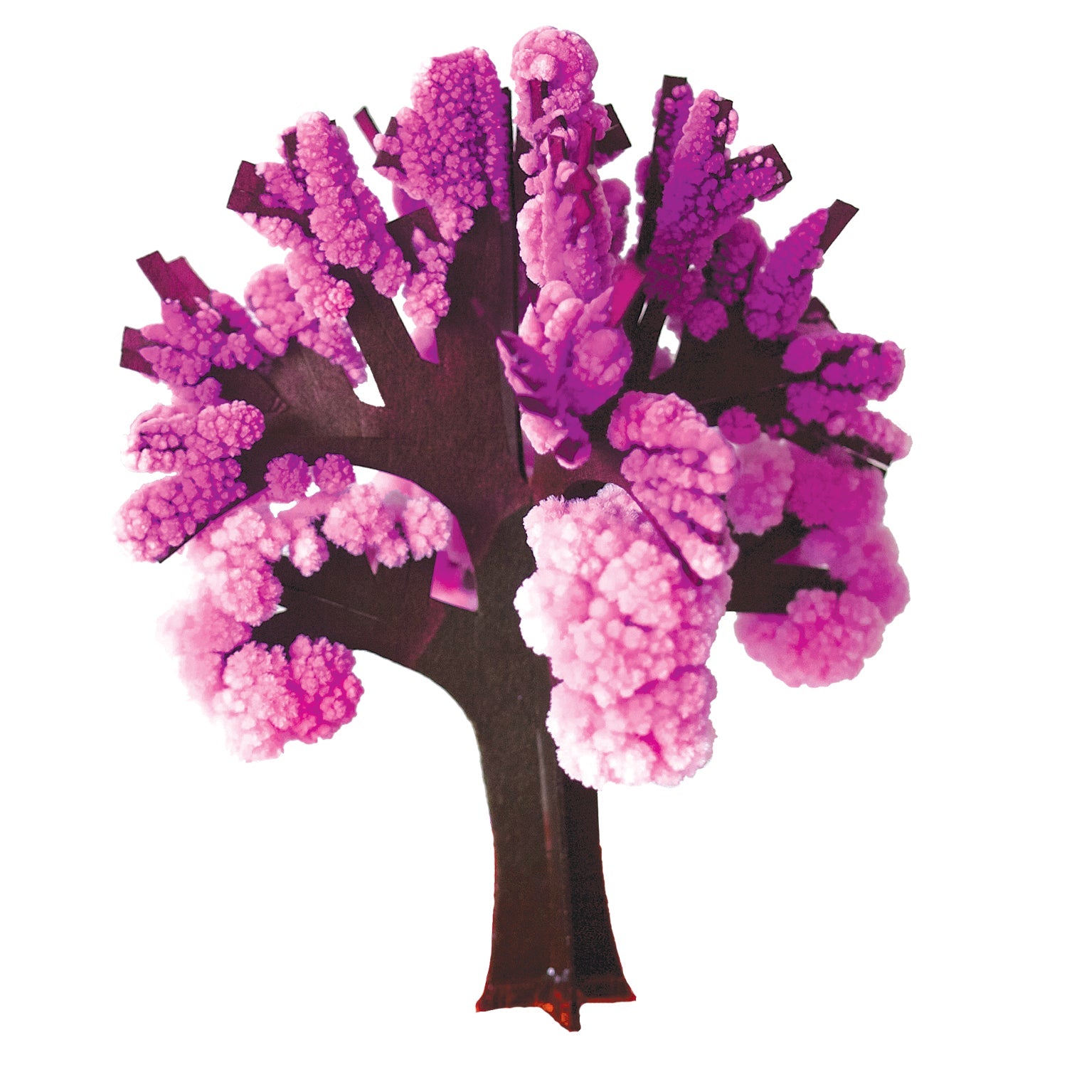 Crystal Growing Cherry Tree - Copernicus Toys