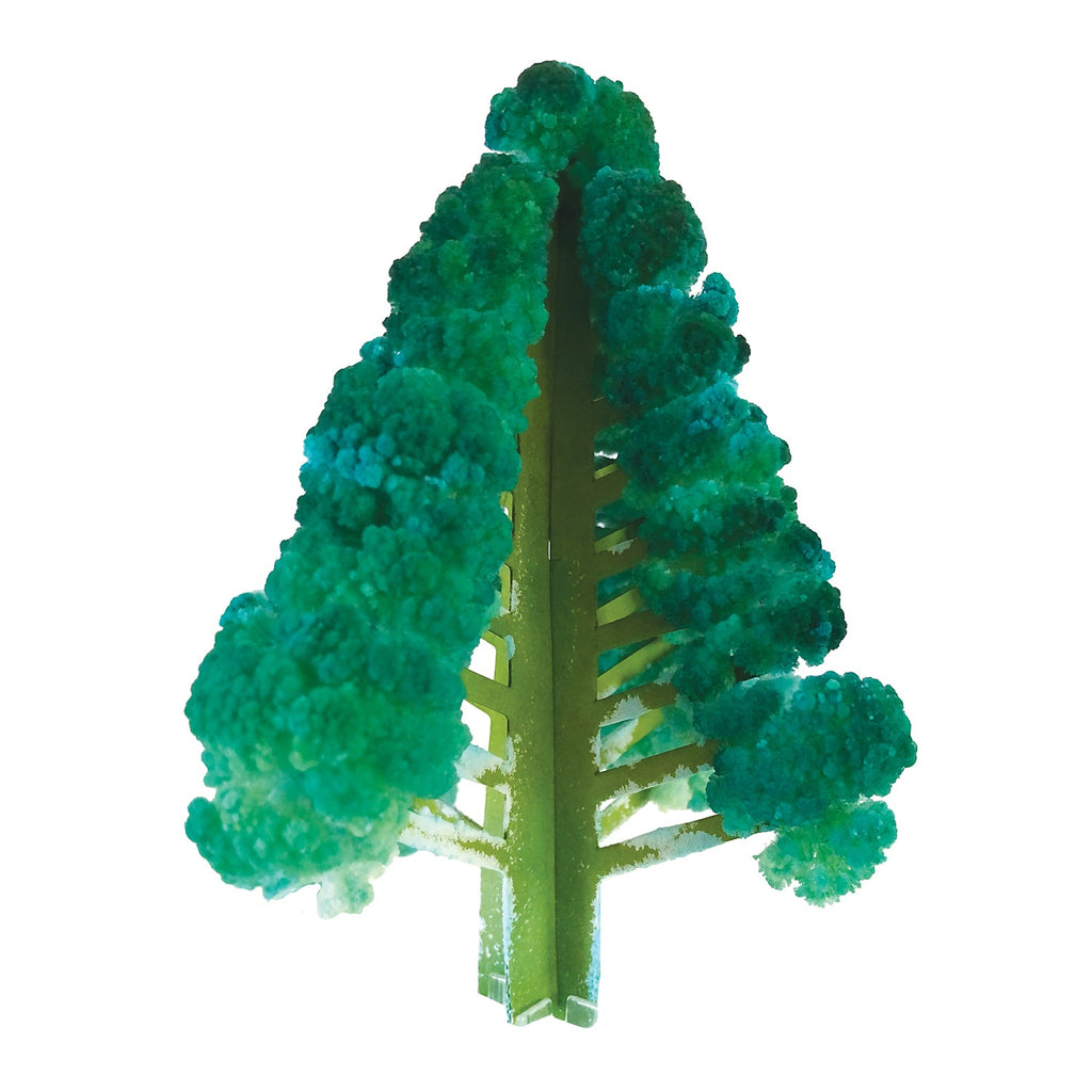 Crystal Growing Douglas Fir - Copernicus Toys