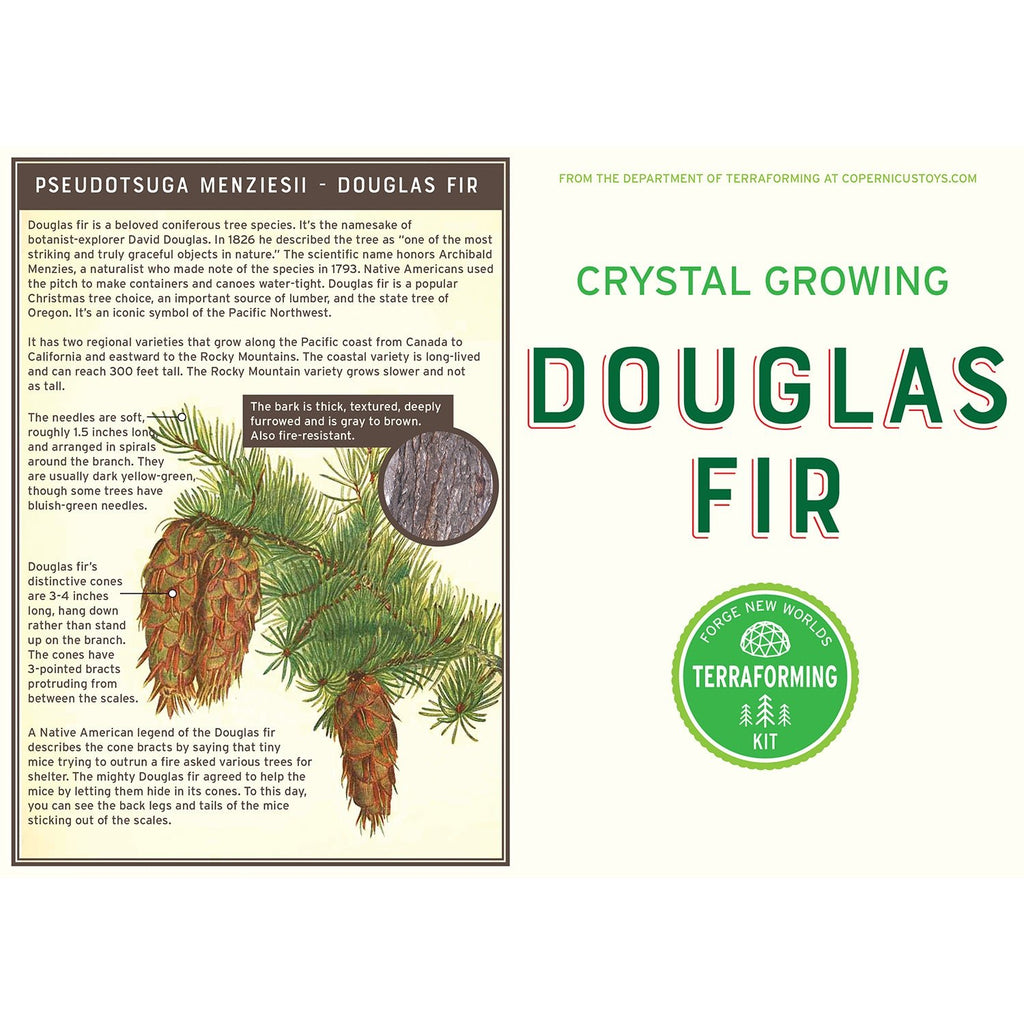 Crystal Growing Douglas Fir - Copernicus Toys
