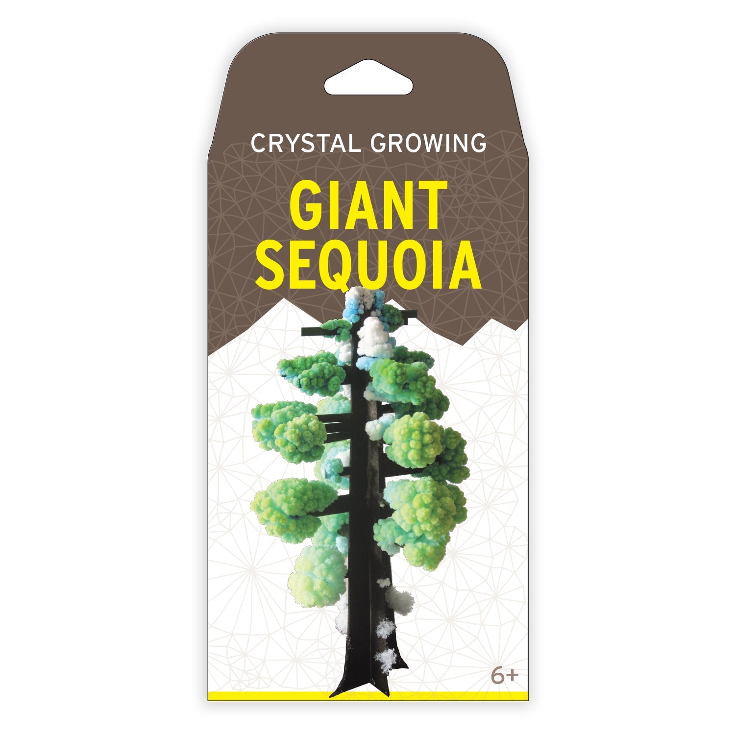 Crystal Growing Giant Sequoia - Copernicus Toys