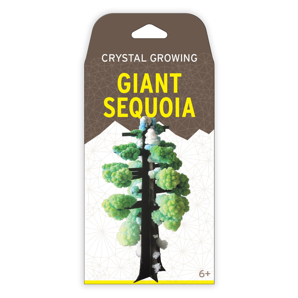 Crystal Growing Giant Sequoia - Copernicus Toys