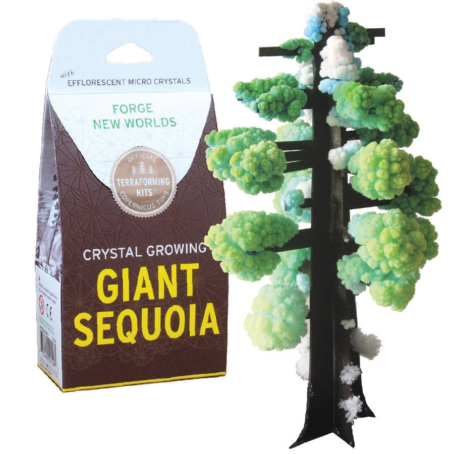 Crystal Growing Giant Sequoia - Copernicus Toys