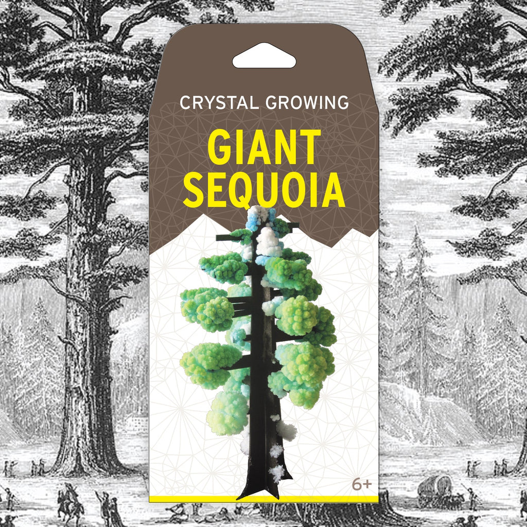 Crystal Growing Giant Sequoia - Copernicus Toys