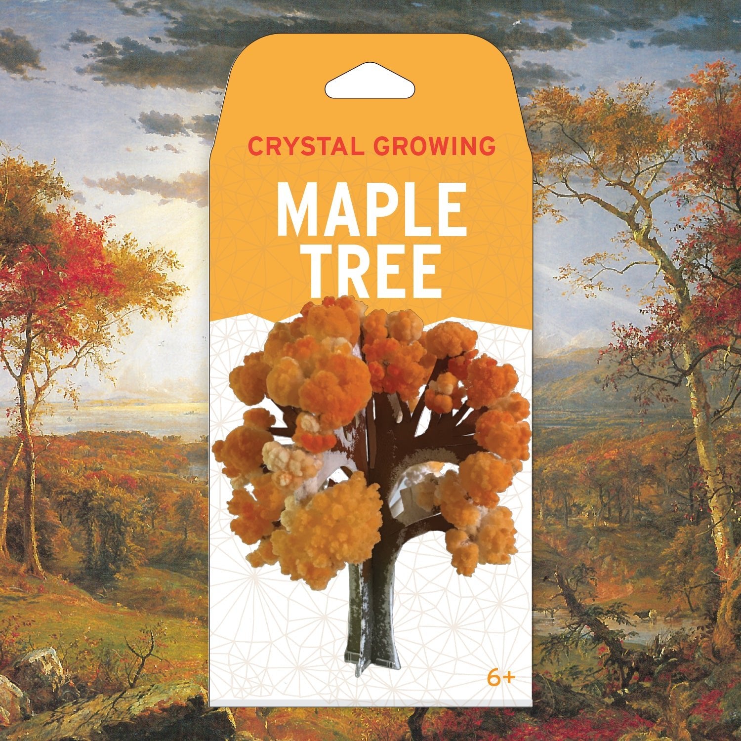 Crystal Growing Maple Tree - Copernicus Toys