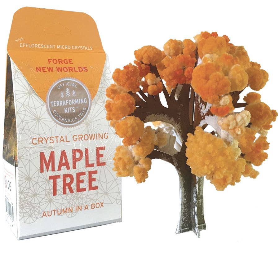 Crystal Growing Maple Tree - Copernicus Toys