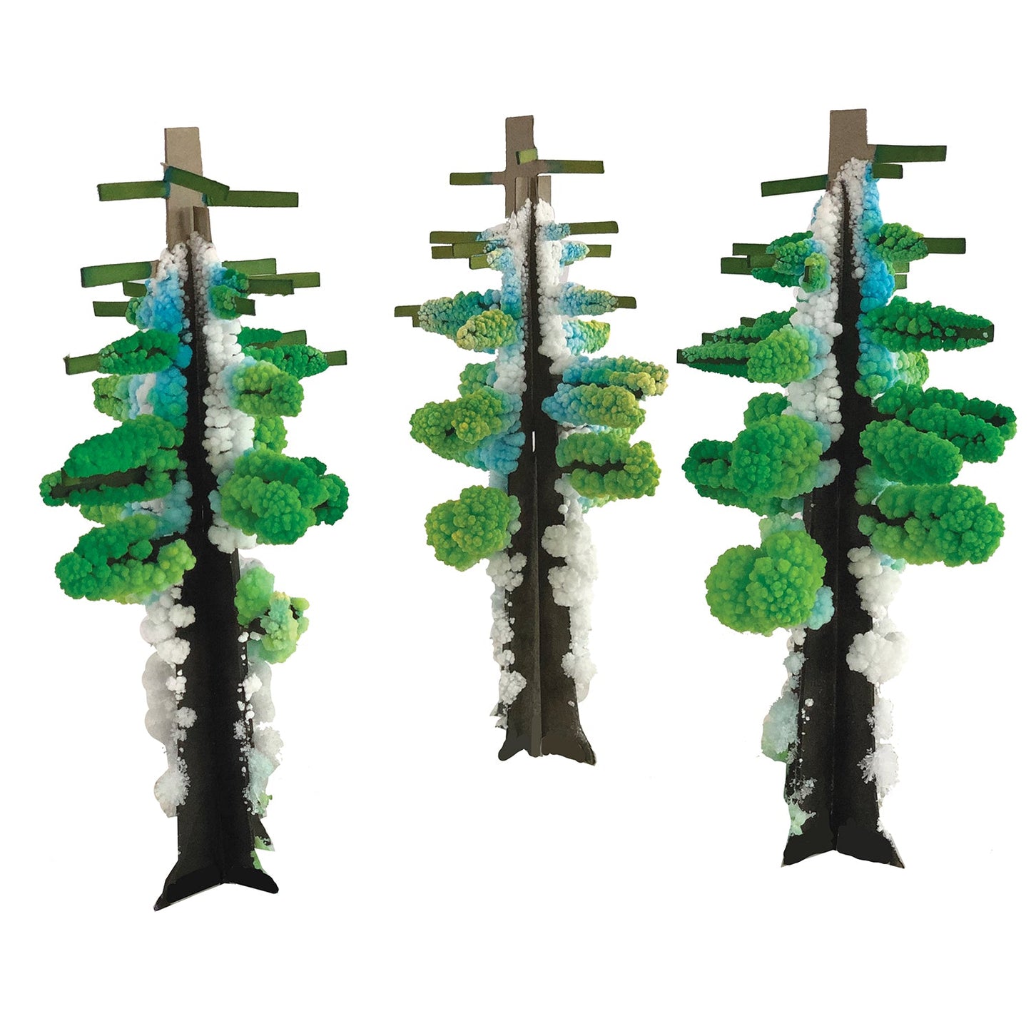 Crystal Growing Redwood Forest - Copernicus Toys