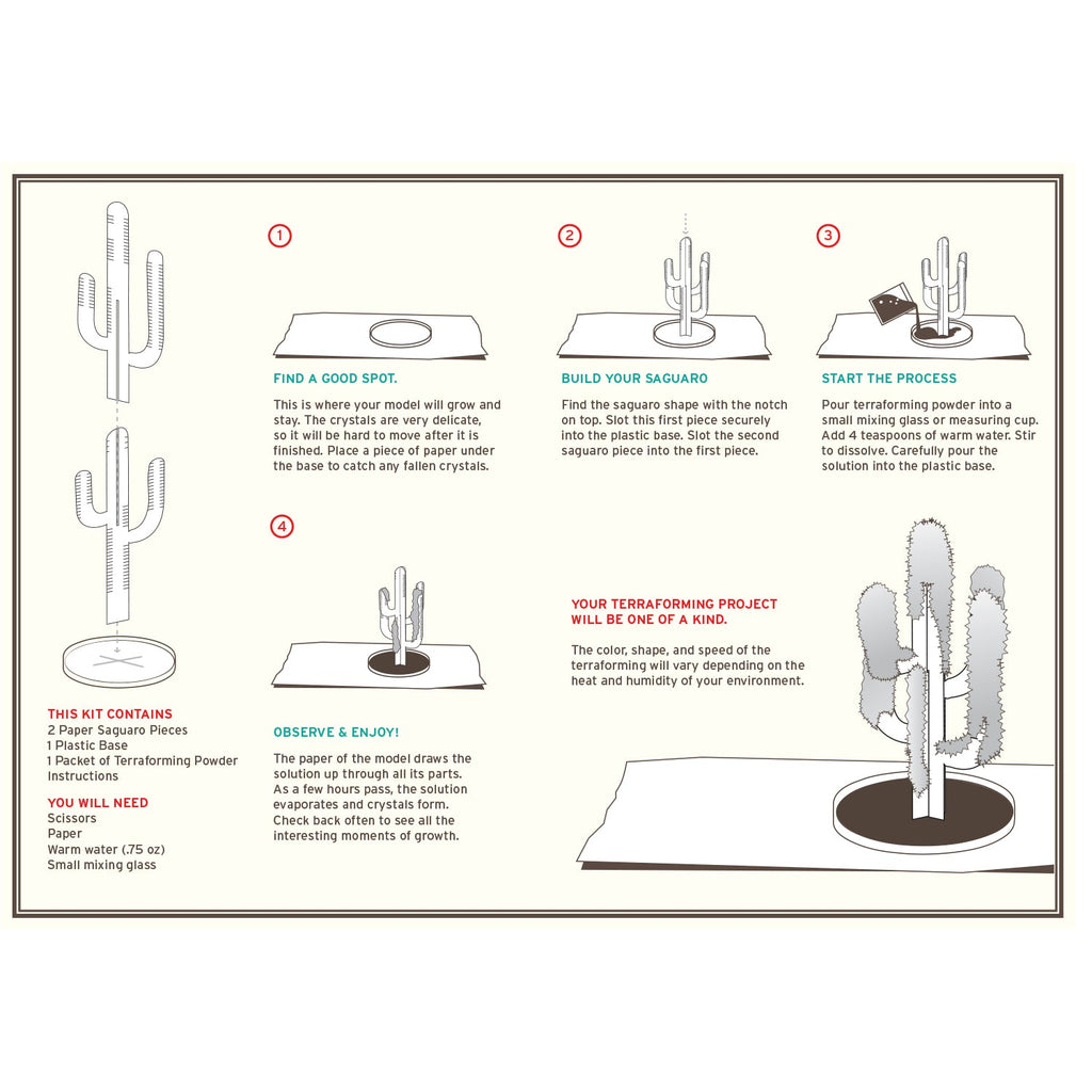 Crystal Growing Saguaro Cactus - Copernicus Toys