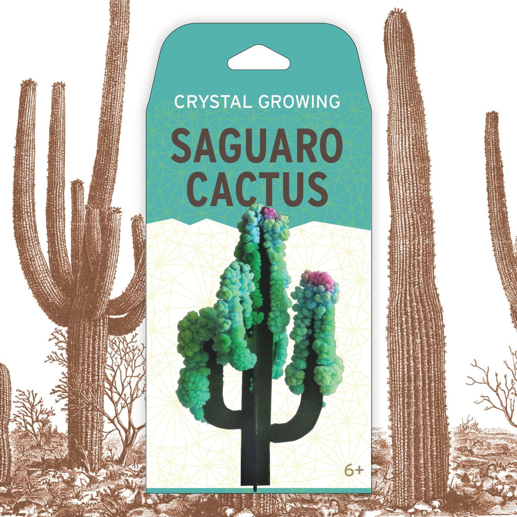 Crystal Growing Saguaro Cactus - Copernicus Toys