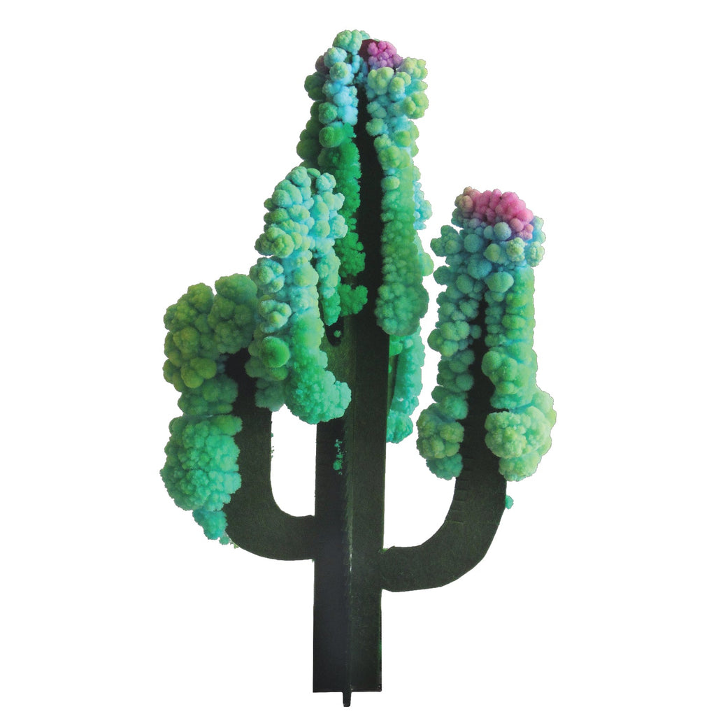 Crystal Growing Saguaro Cactus - Copernicus Toys
