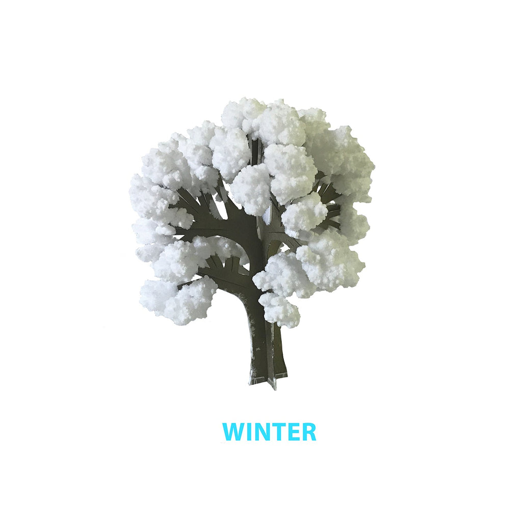 Crystal Growing Seasons | Experience all the seasons today! - Copernicus Toys