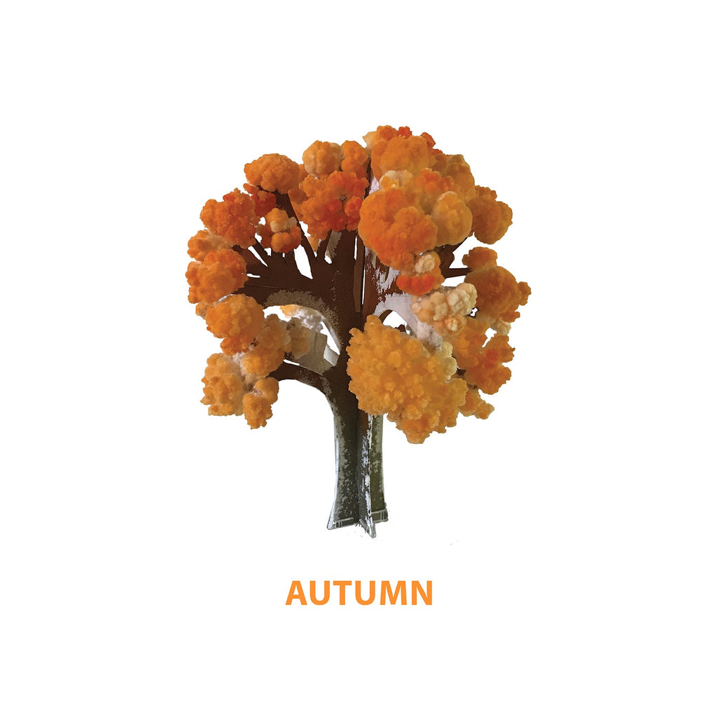 Crystal Growing Seasons | Experience all the seasons today! - Copernicus Toys