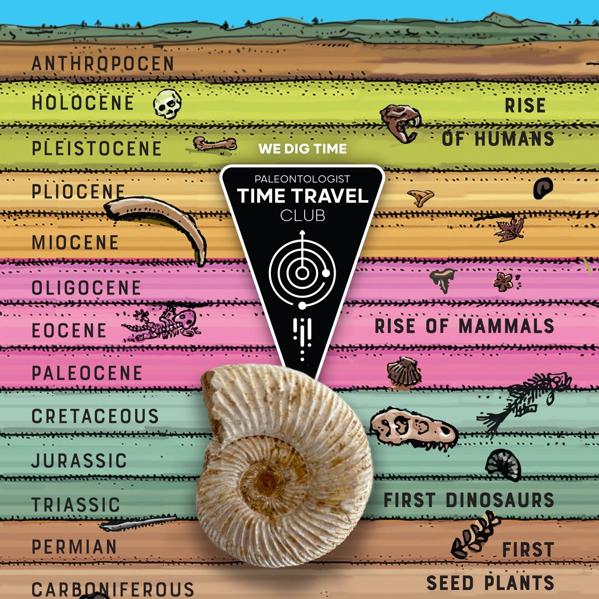Giant Fossil Ammonite: Time Travel Club - Copernicus Toys