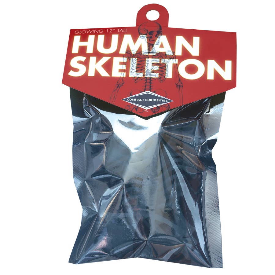 Human Skeleton puzzle - Copernicus Toys