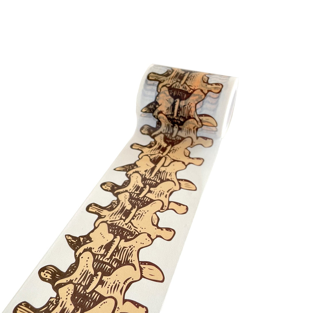 This Is Spinal Tape - Copernicus Toys