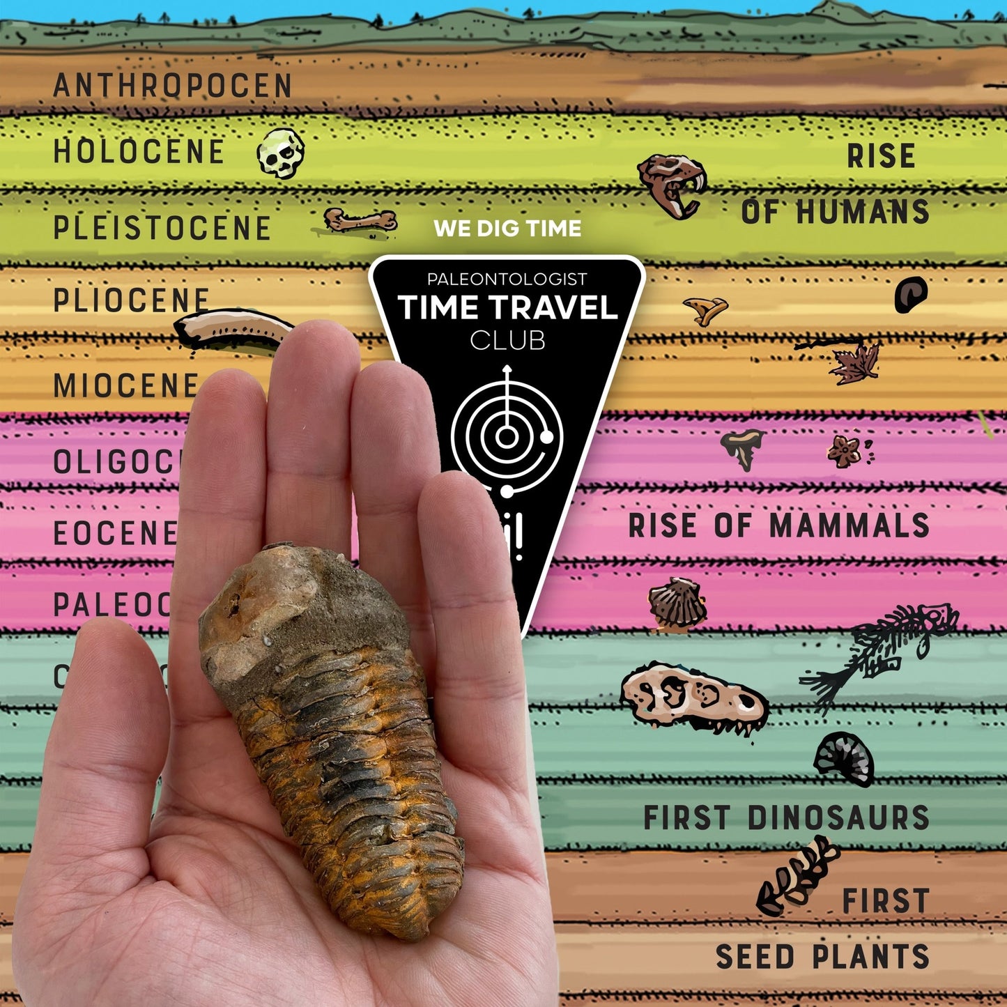 Tremendous Fossil Trilobite: Time Travel Club - Copernicus Toys
